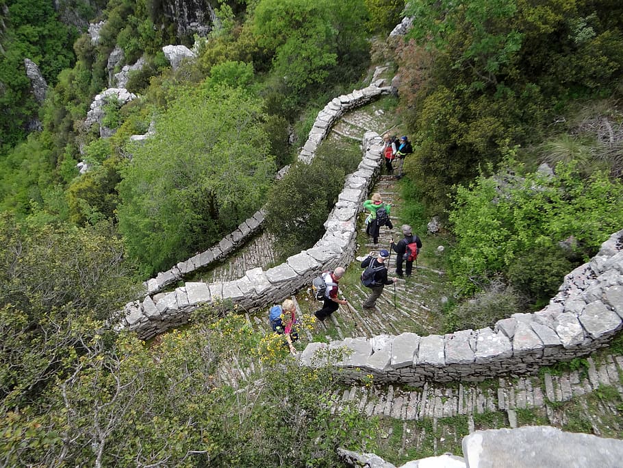 vikos gorge, greece, epirus, pindus, hiking, real people, plant, tree, group of people, lifestyles