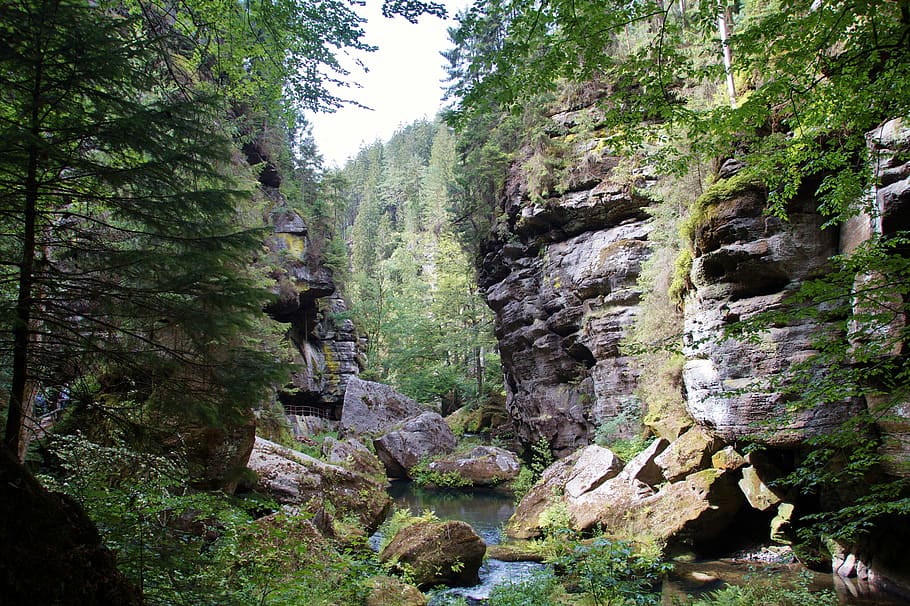 hřensko, czech switzerland, defile, the wild gorge, river, rocks, rowboat, ship, tourism, holidays