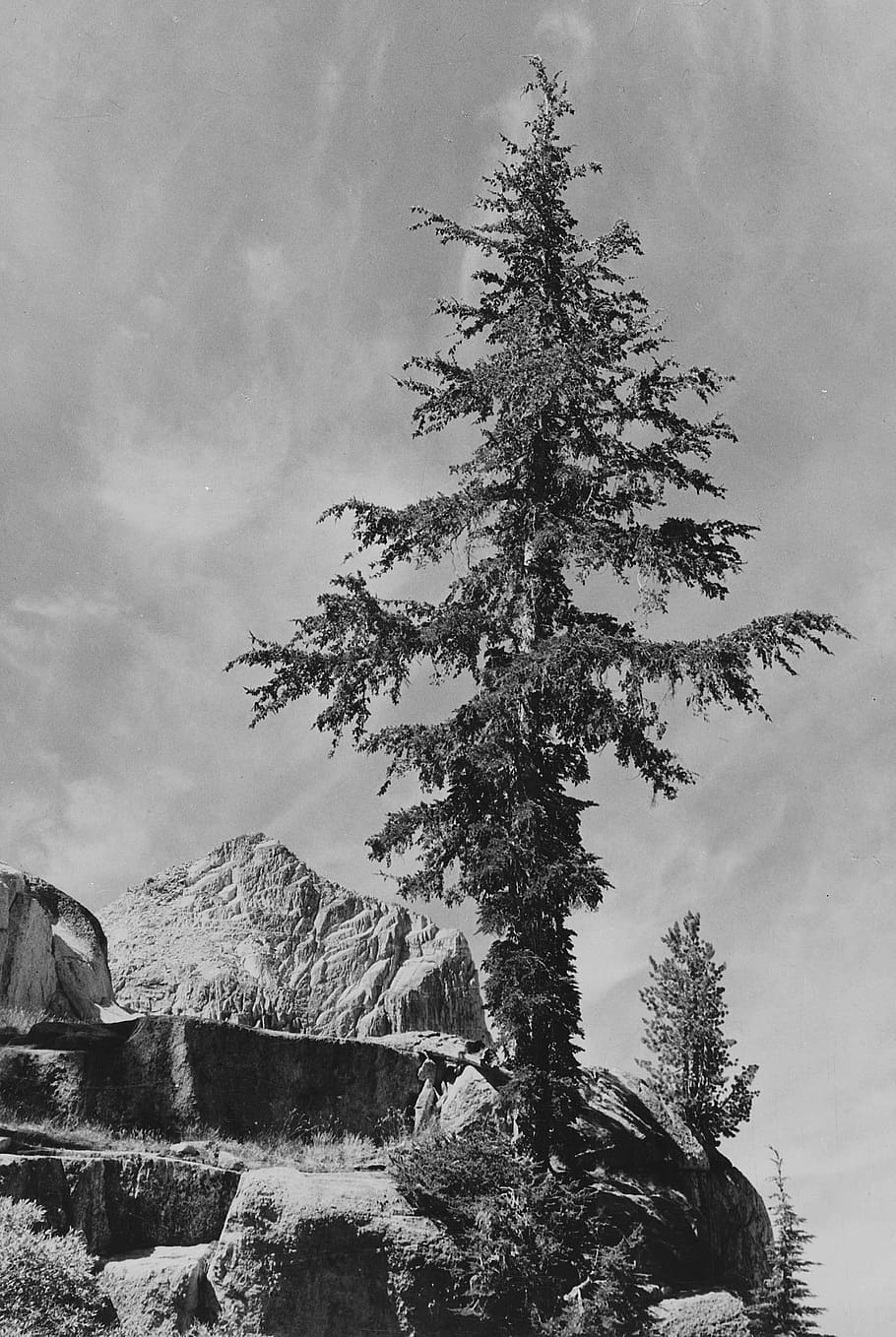 California, Black And White, White, Sky, 1930s, sky, clouds, nature, outside, tree, mountains