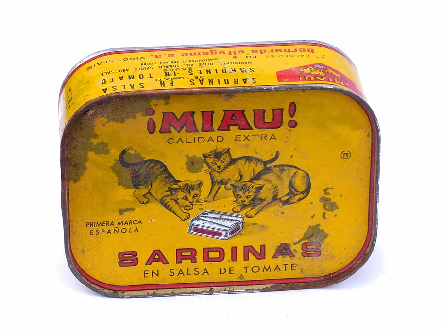 lata, viejo, vintage, sardinas en una lata, diseño, fondo blanco, recortar, antiguo, foto de estudio, amarillo