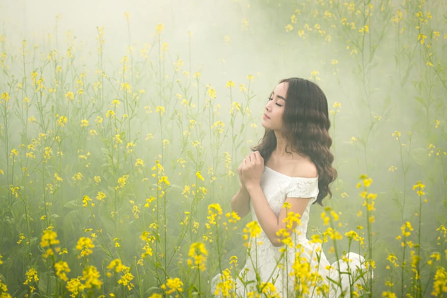 mujer, vistiendo, blanco, vestido de encaje con hombros descubiertos, amarillo, campo de flores de colza, niebla, niña, reforma floral, oración