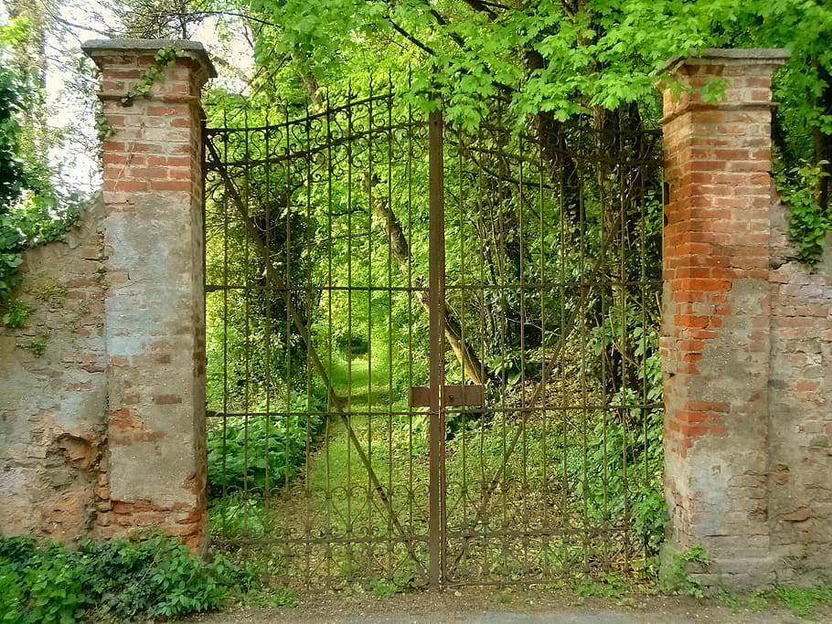 marrón, puerta de metal, cerrado, líder, bosque, puerta, entrada, viale, jardín, parque