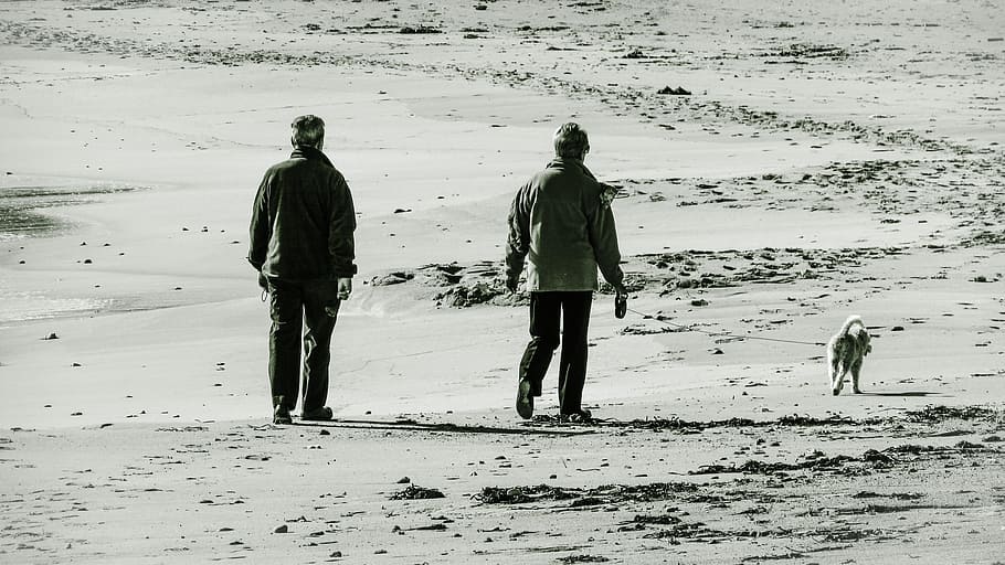 Old, Couple, Third Age, Life, old couple, enjoying life, walking, beach, leisure, pet