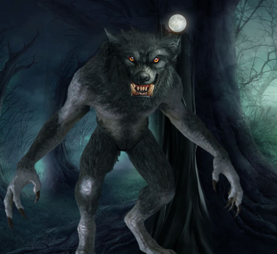 Ilustración de monstruo, hombre lobo, luna llena, lobo, noche, arte, oscuro, negro, animal, sobrenatural