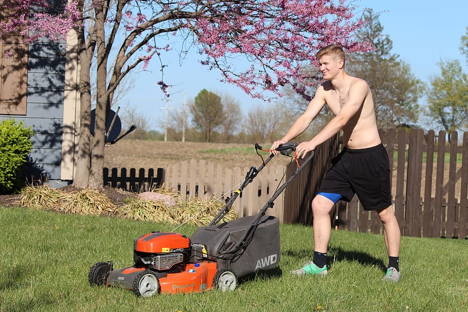 lads, mowing, shirtless, blond, caucasian, handsome, mow, male, outdoor, grass