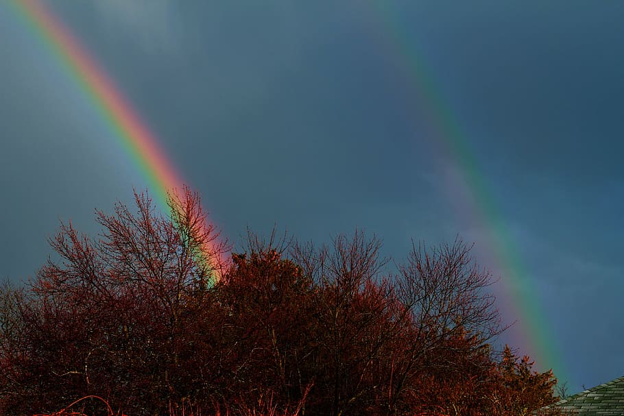 rainbow, double rainbow, sky, nature, night, blue, outdoors, tree, beauty in nature, plant