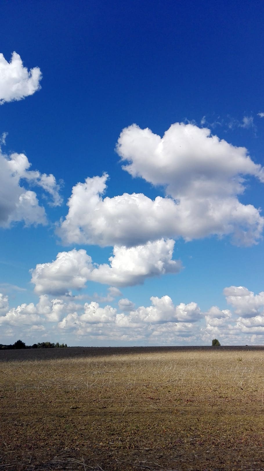 구름, 하늘, 필드, 구름-하늘, 땅, 조용한 장면, 환경, 풍경, 평온, 들