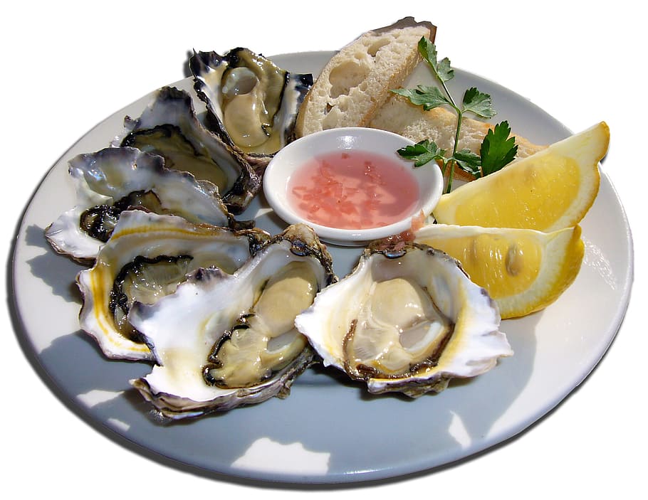oyster shell, sauce, sliced, lemon, white, ceramic, plate, Oysters, Mussels, Delicacy