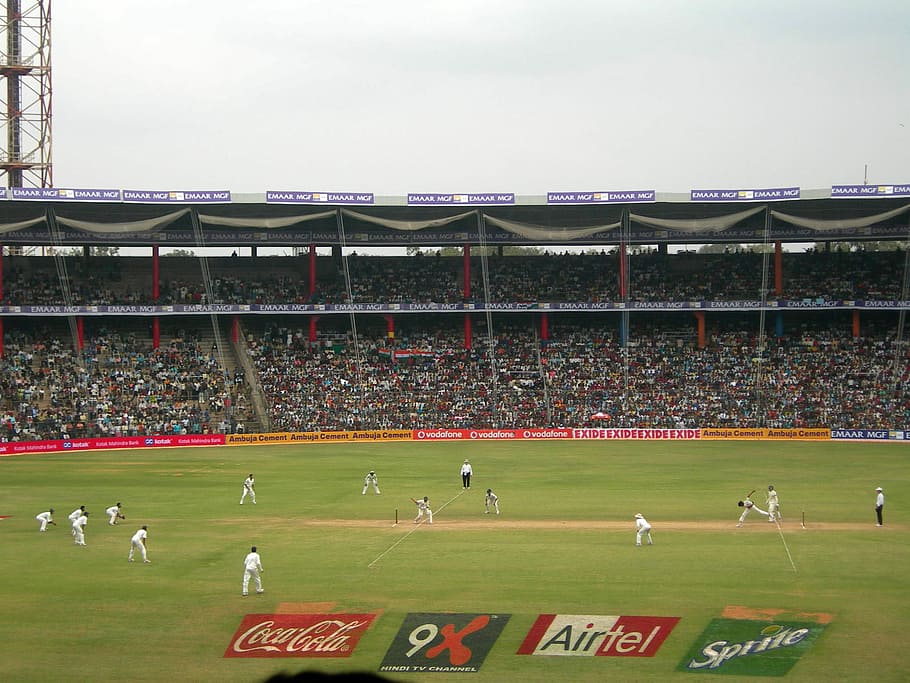 bermain, kriket, m., stadion chinnaswamy, People, Stadion M. Chinnaswamy, Bangalore, India, foto, M. Chinnaswamy