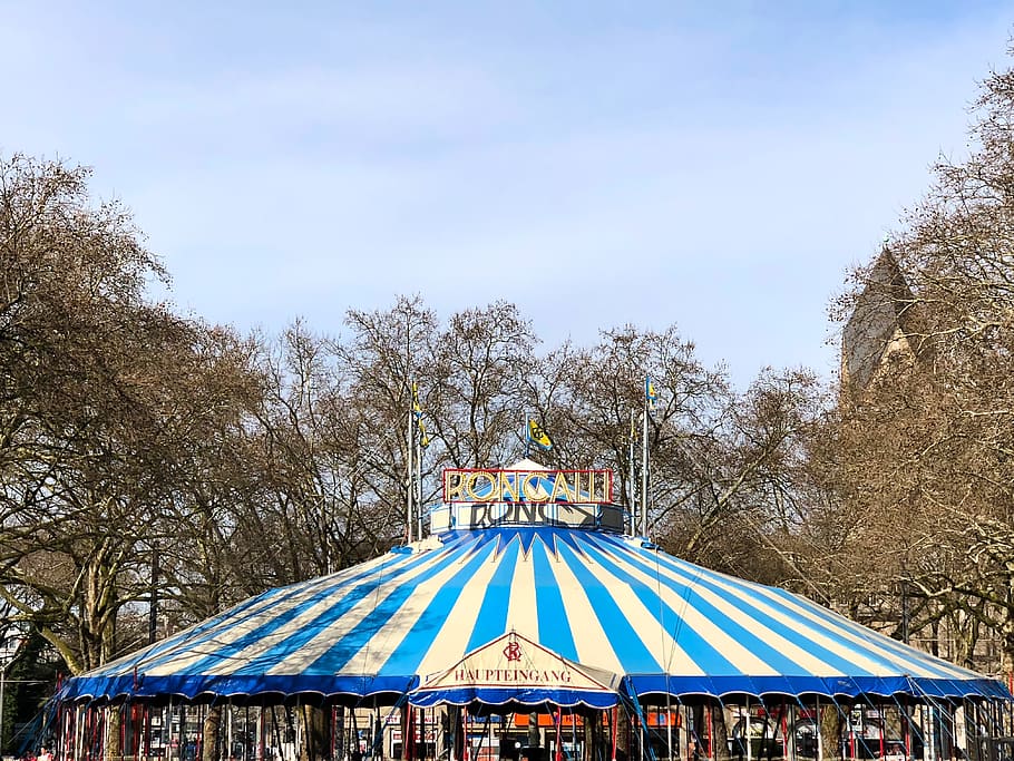 circus, roncalli, circus tent, tent, germany, blue, fun, fair, junk, event
