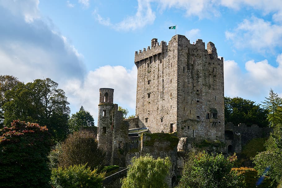 Irlanda, corcho, castillo, castillos, blarney, fortaleza, edad media, edificio, viejo, pared