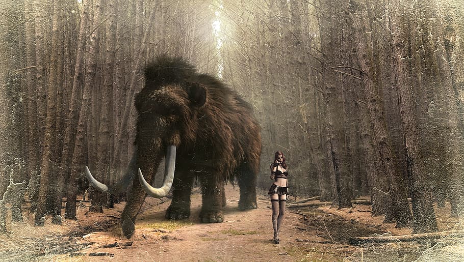 brown, black, mammoth, game screenshot, fantasy, woman, forest, trees, composing, photo montage