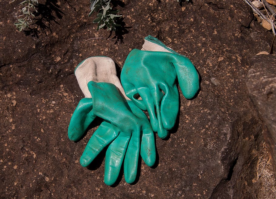 gloves, gardening, protection, hands, clothes, pair, work, green color, protective glove, dirt