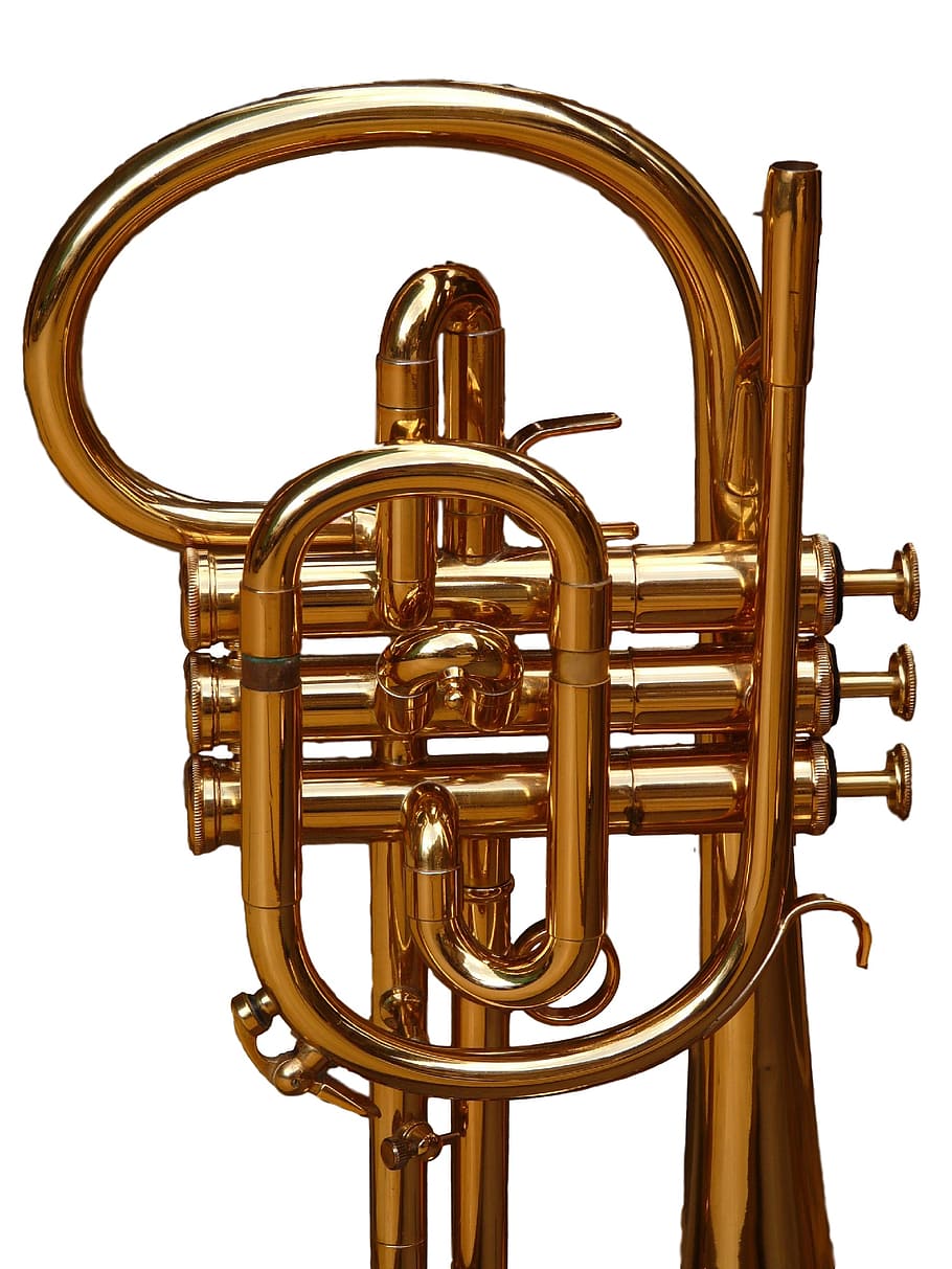 brass-colored wind instrument, cornet, trumpet, brass instrument, instrument, acoustic, jazz, horn, golden, shiny