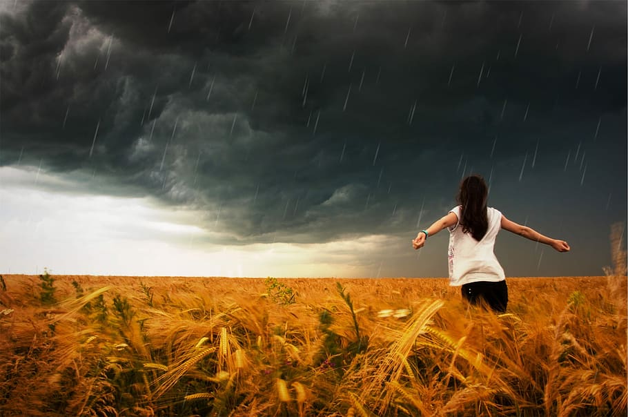 woman, wearing, white, cap-sleeved shirt, black, pants, wheat field, rain, storm, raining