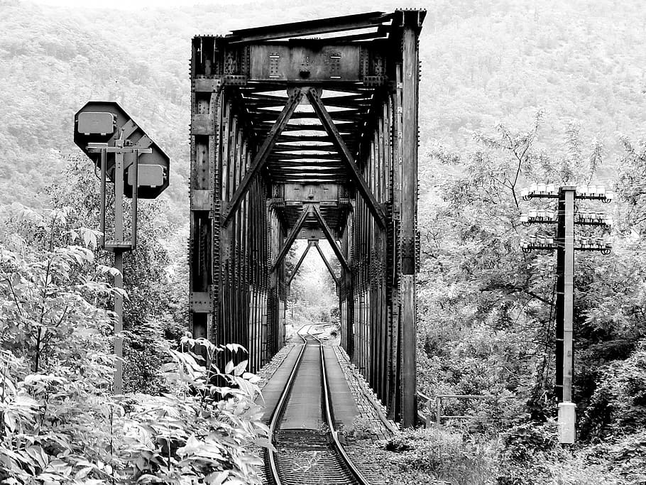 train railroad, tall, trees grayscale photo, railway bridge, railway, bridge, seemed, black And White, railroad Track, old