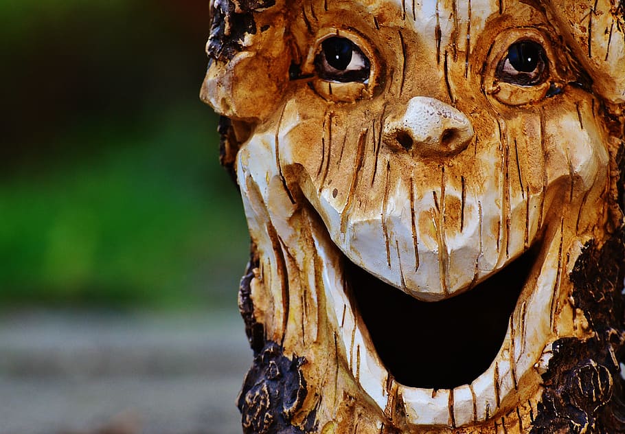 Log, Face, Fash, Tree, Forest Spirit, tree face, mystical, tree spirit, funny, laugh