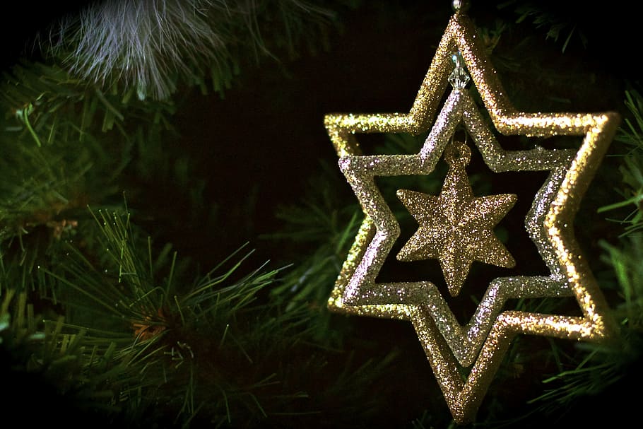 estrella, david, colgantes, decoración, abeto, festival, alegría, invierno, decoraciones, feliz navidad