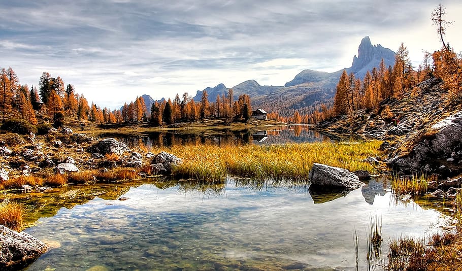 swamp in forest, dolomites, mountains, italy, alpine, view, nature, panorama, landscape, rock