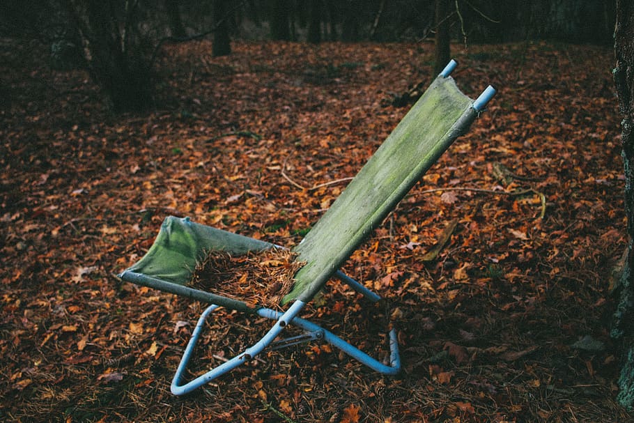 sit, folding chair, leaves, autumn, fall, alone, empty, land, leaf, nature