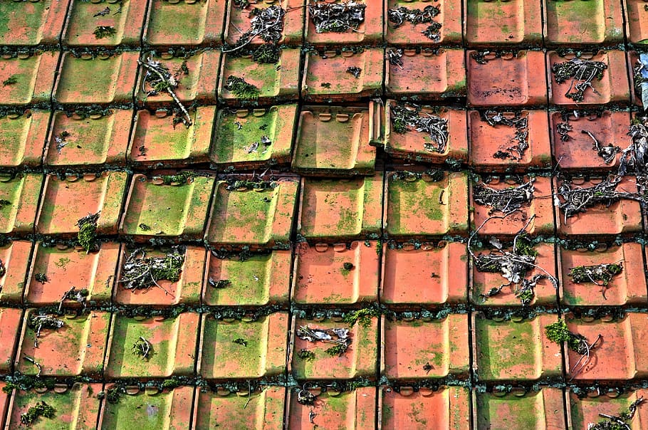 roof, tiles, tiled roof, roof tiles, ceramic, terracotta, concrete, red roof, red tiles, red roof tiles