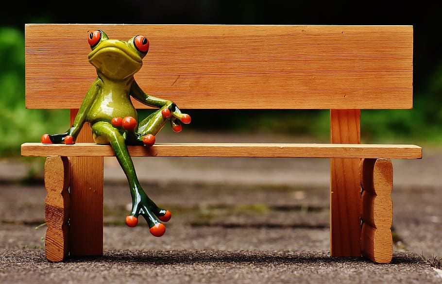 green, frog, brown, wooden, bench wallpaper, sit, bank, bench, rest, break