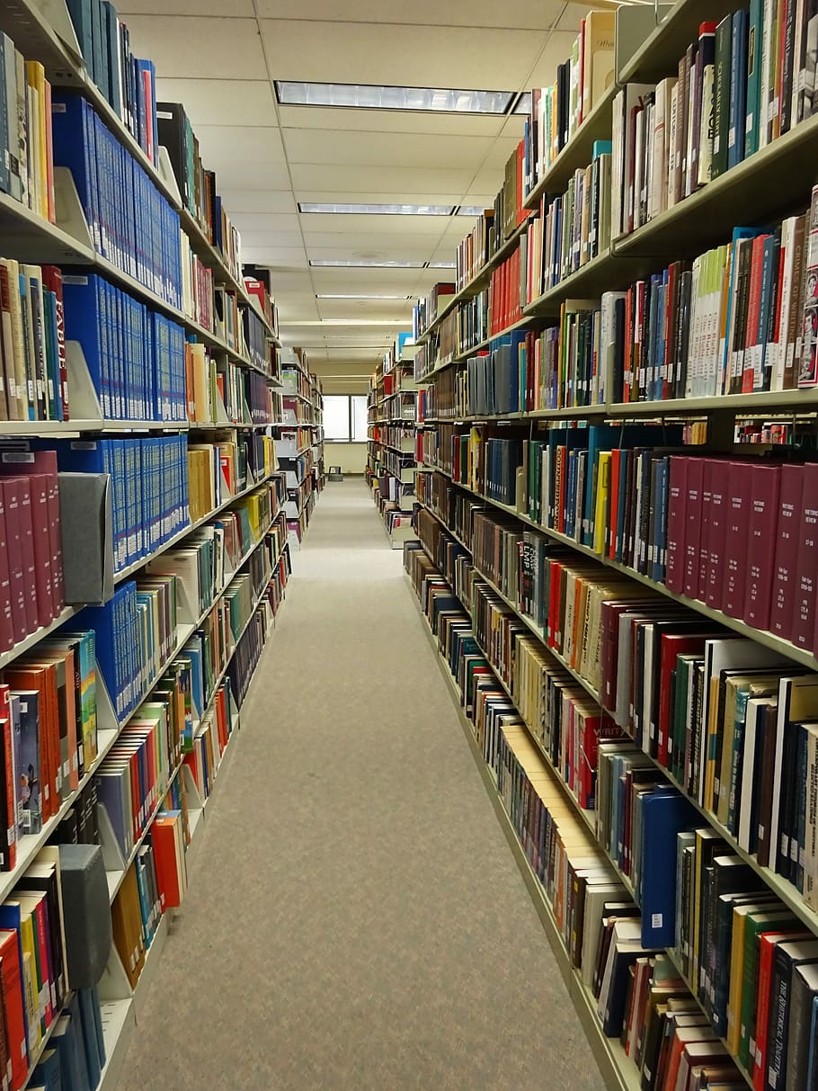 displayed, shelves, inside, room, Library, Study, Books, Education, school, university