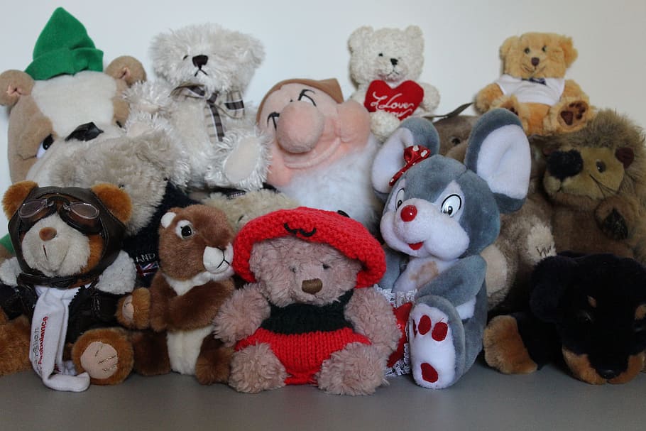 mainan, lembut, menggemaskan, hewan, teddy, fluffy, bermain, lucu, boneka mainan, di dalam ruangan