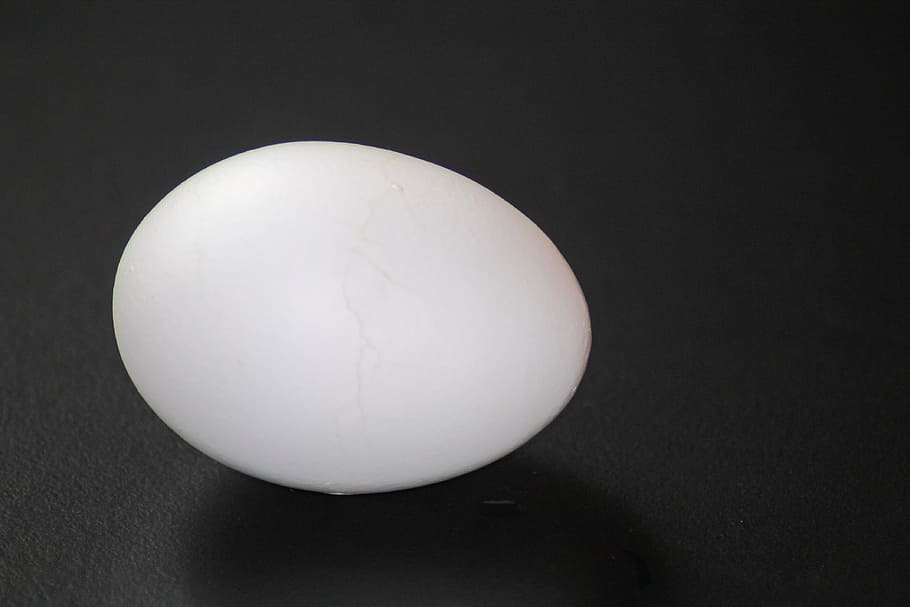 hen's egg, boiled egg, egg, eat, food, hartgekocht, cooked, hard, single object, animal egg