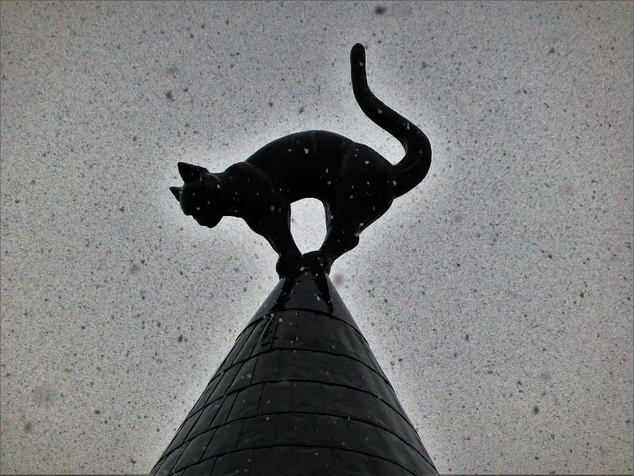 gato, inverno, neve, acidente, gato preto, volta, ninguém, dia, representação, visão de baixo ângulo
