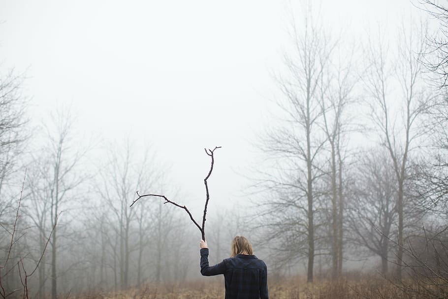 woman, walking, woods, trees, branch, plant, nature, mountain, fog, people