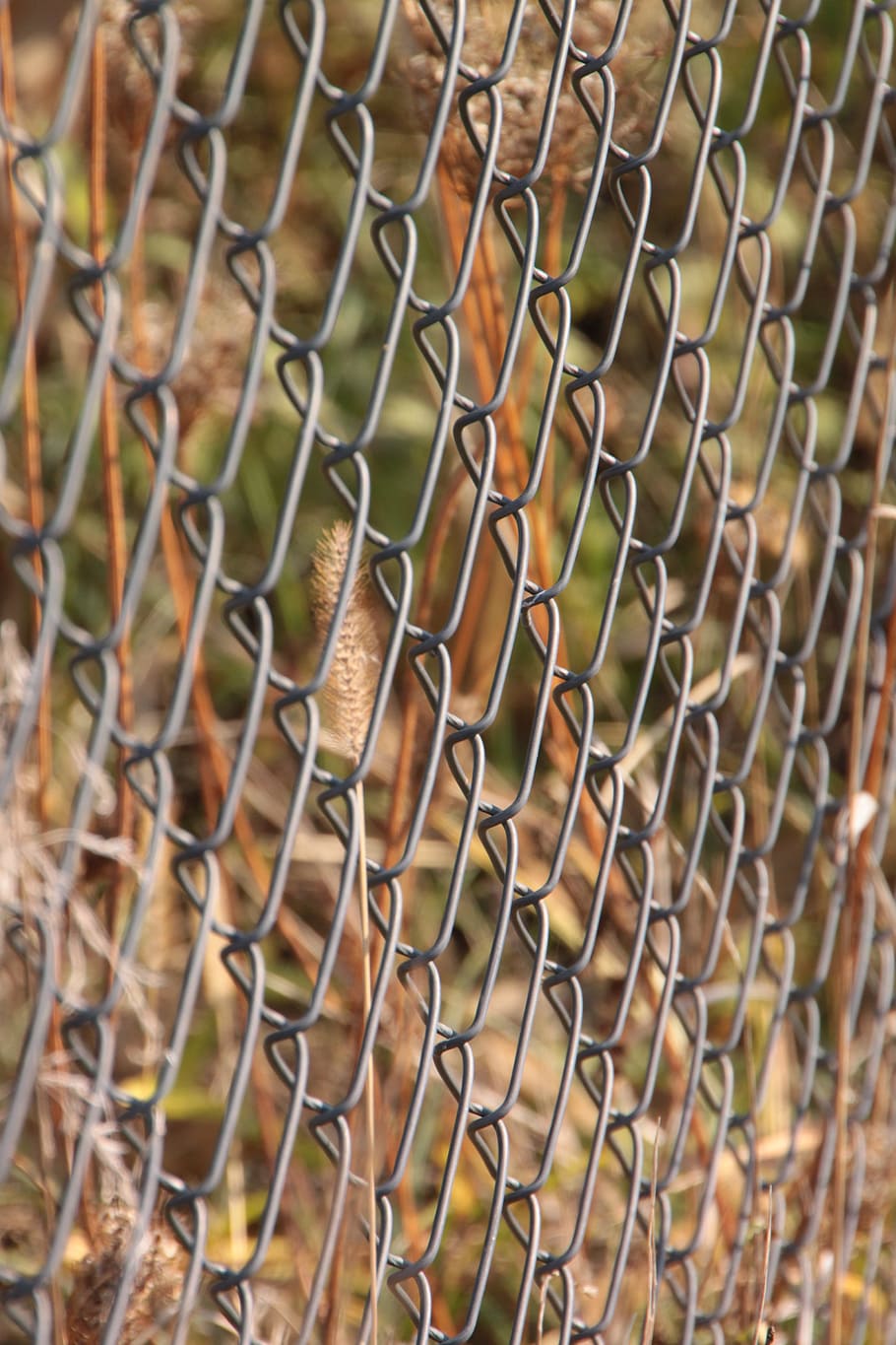 Chain, Fence, Fencing, Galvanized, Link, metal, wire, industries, chainlink fence, full frame
