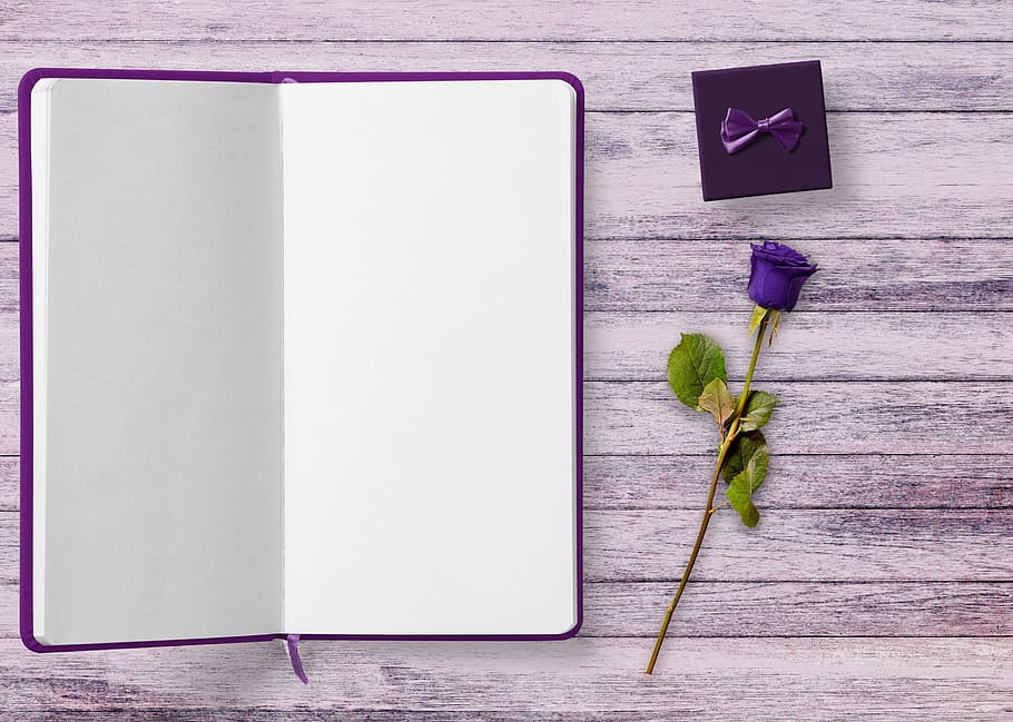 opened, empty, purple, book, rose, flower, gift, table, background, gothic