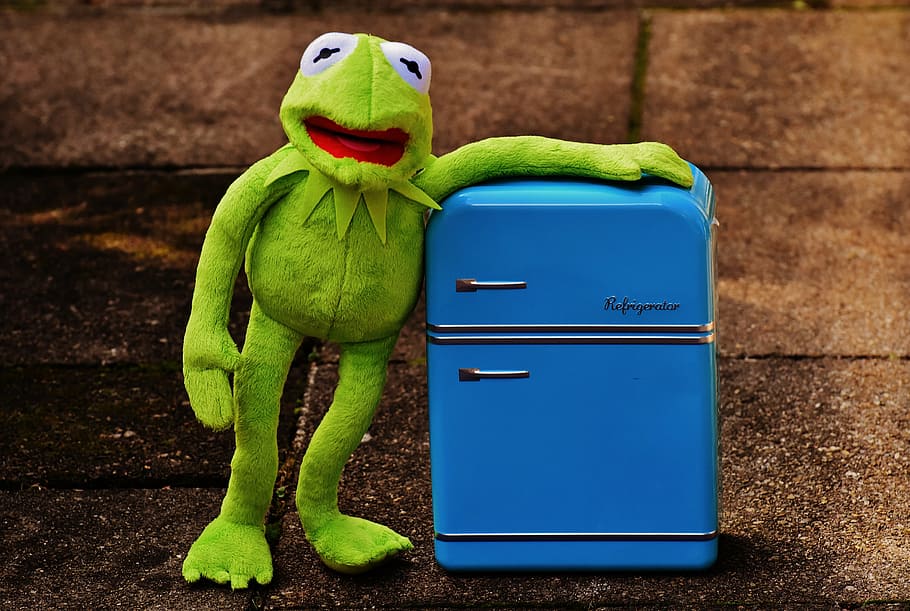 kermit, frog, refrigerator, funny, retro, green, toys, soft toy, stuffed animal, green color