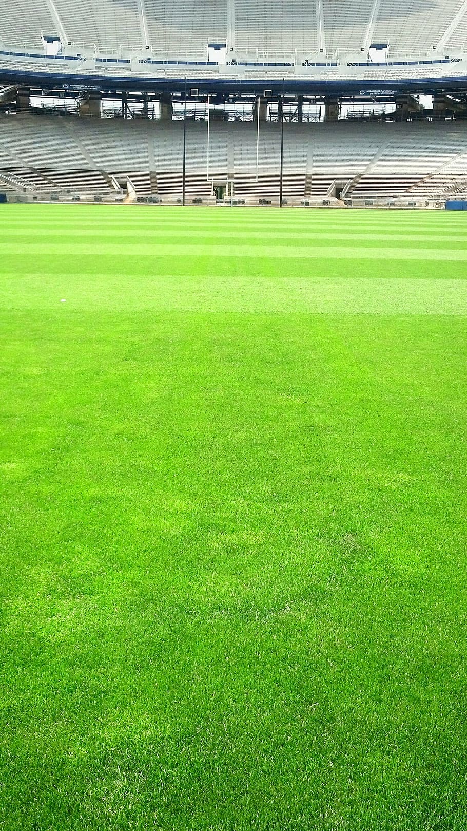 hijau, rumput nfl, diajukan, stadion berang-berang, stadion, lapangan, rumput, sepak bola, olahraga, warna hijau