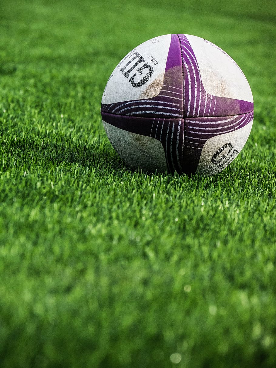 raso, fotografia de foco, roxo, branco, bola de futebol, rugby, esporte, bola, grama, lazer