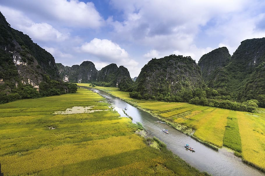 Río, rodeado, campo de hierba, montañas, nublado, cielos, viajes, el barco, provincia, Vietnam