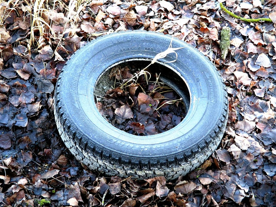 auto tires, waste, mature age, thrown away, disposed of, rubber, profile, wheel, leaves, nature