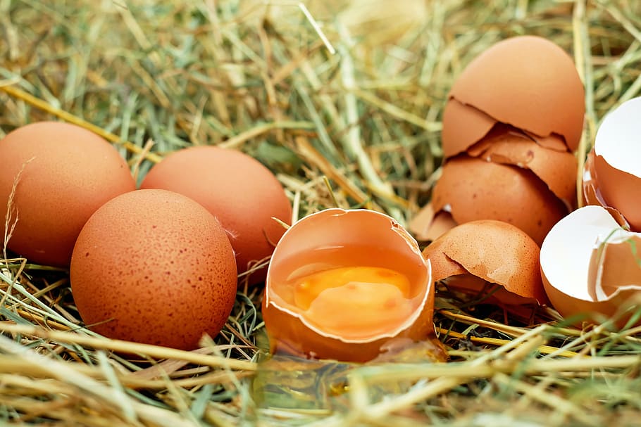 brown, eggs, one, broken, egg, chicken eggs, raw eggs, eggshell, egg yolk, bio