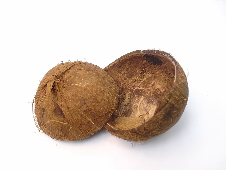 coconut husk, shell, coconut, coconut shell, half, halves, tropical, palm, nut, white background