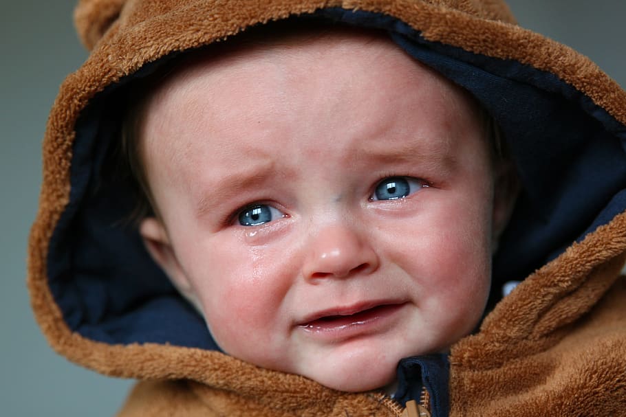 Bebé, vistiendo, marrón, sudadera con capucha con cremallera de gamuza, lágrimas, niño pequeño, triste, llorar, gritar, emoción