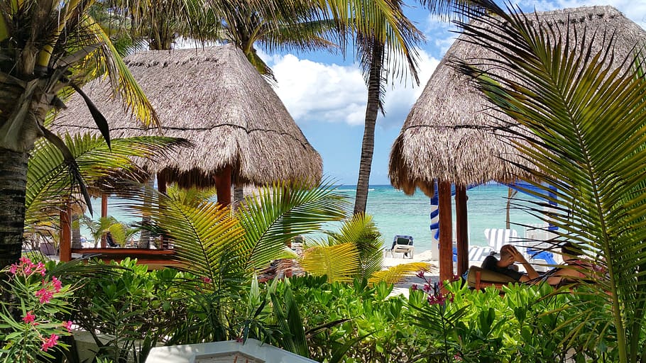 Beach, Mexico, Hotel, Resort, Thatch, hut, palms, exotic, palm tree, tropical climate