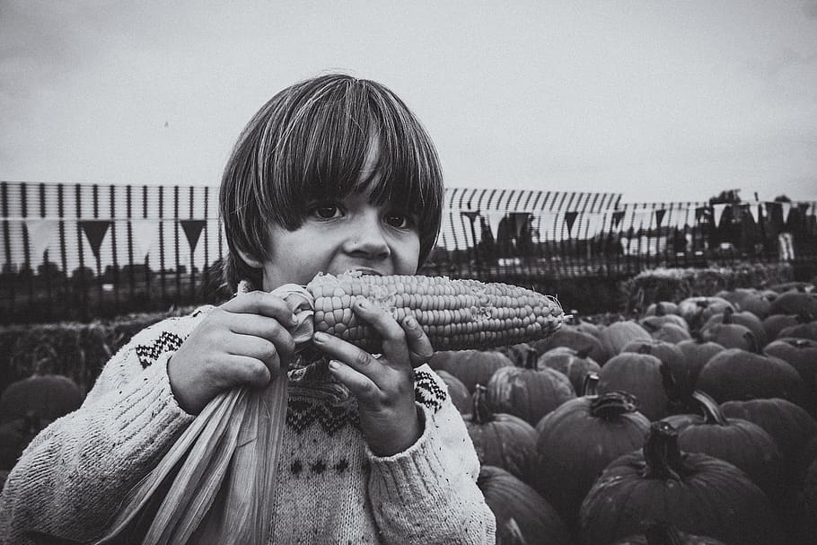 grayscale photo, boy, eating, corn, standing, pumpkins, child, kid, october, farm