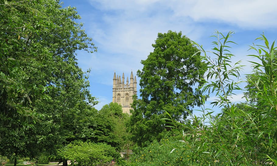 oxford, magdalen, tower, rooftop, university, college, oxfordshire, plant, tree, built structure