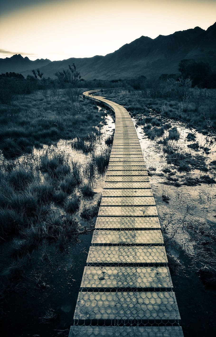 walkway, straight, path, footpath, trail, nature, direction, the way forward, sky, tranquility