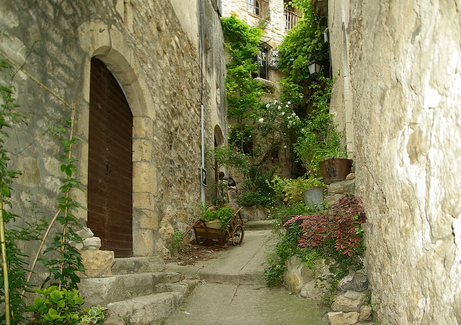 pathway, gray, concrete, buildings, green, plants, cévennes, lane, medieval village, arcade
