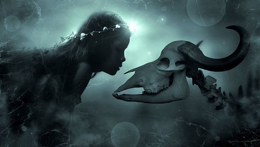 女性 動物の頭蓋骨の壁紙 ファンタジー 神秘的な 女の子 スケルトン 頭蓋骨 動物 好奇心が強い 光 Pxfuel