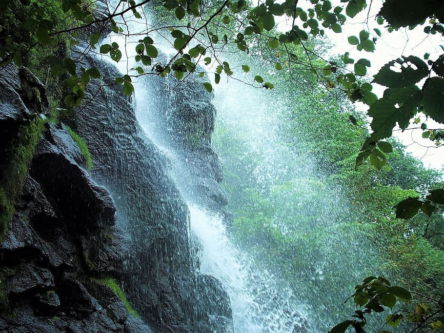 waterfalls during daytime, waterfall, water, nature, murmur, landscape, forest, green, trees, desert