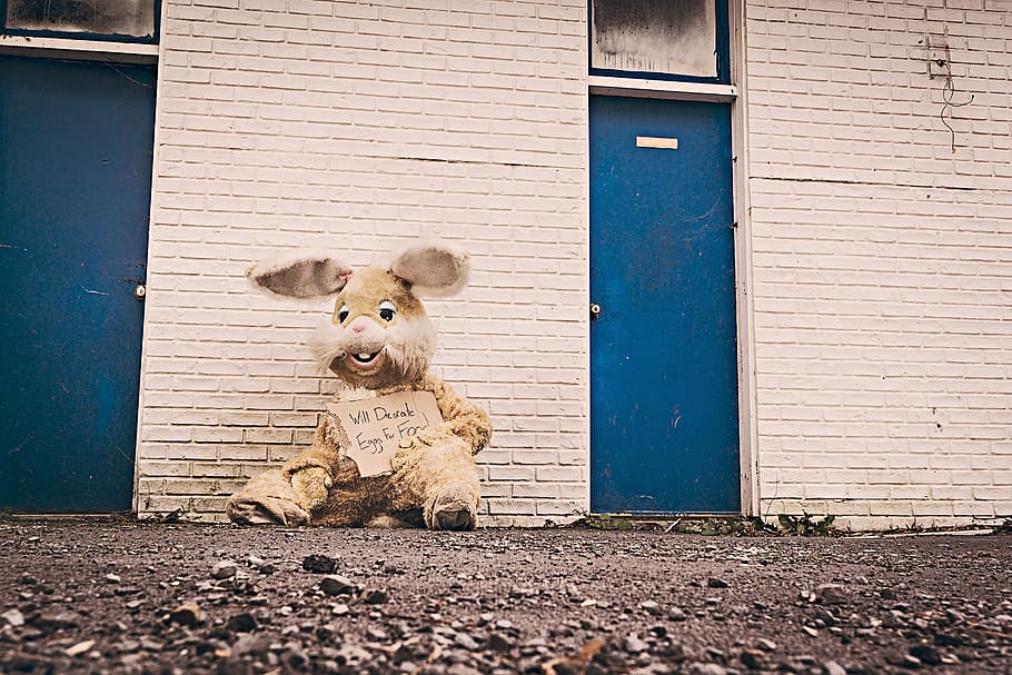 stuffed animal, bunny, homeless, unsheltered, unhoused, rabbit, sitting, costume, sign, rocks