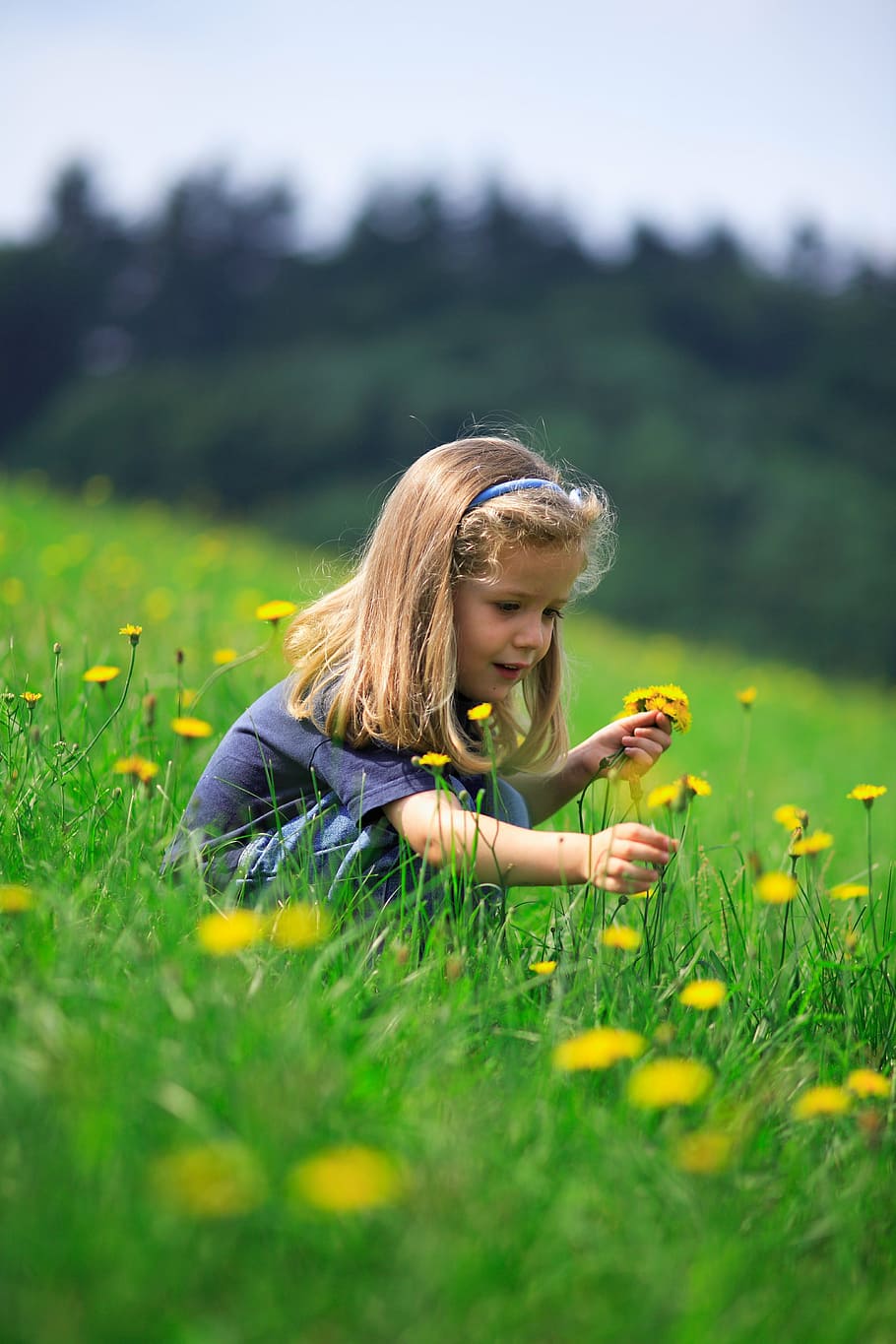 girl, picking, yellow, flowers, surrounded, green, grass, daytime, sky, odenwald